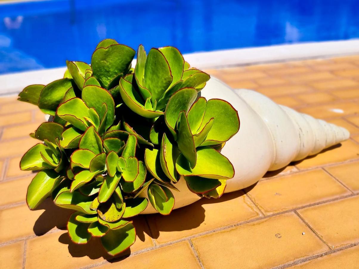 Flh Vilamoura Summer Flat With Pool Buitenkant foto